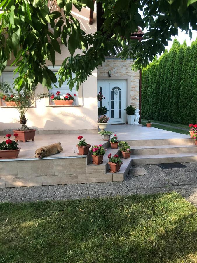 Hotel Majlath Vendeghaz Bük Zewnętrze zdjęcie